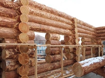 Из чего построить дом?