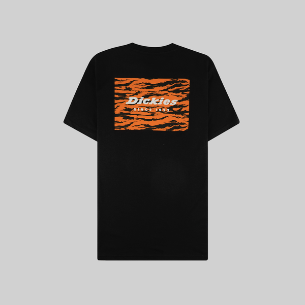  Футболка мужская Dickies Quamba артикул:DK0A4X9JBLK1 - купить в магазине Дайс