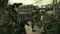 PS3 Resident Evil 5 (Новый, Английская версия, BLES-00485)