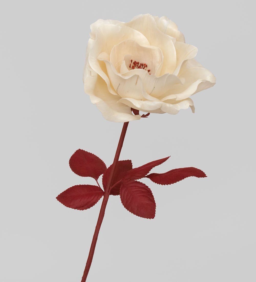 TR 401 Распустившаяся роза