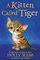 Kitten Called Tiger