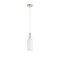 Подвесной светильник ST Luce Elegra SL1402.253.01