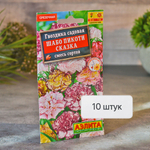 ГВОЗДИКА Шабо Пикоти Сказка Аэлита Ц (10шт)