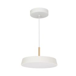 Светильник SP-ELEGANT-R300-17W Day4000 (WH, 120 deg, 230V) (Arlight, IP20 Металл, 3 года) 033919(1)