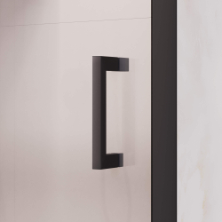 Душевая дверь RGW PA-017B (Прозрачное, 1500)