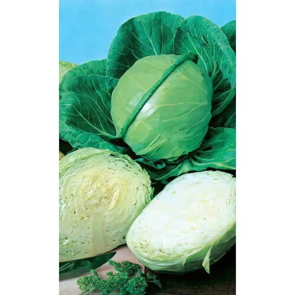 Семена Капуста белокочанная Июньская (Марс) 0.5гр Б/П