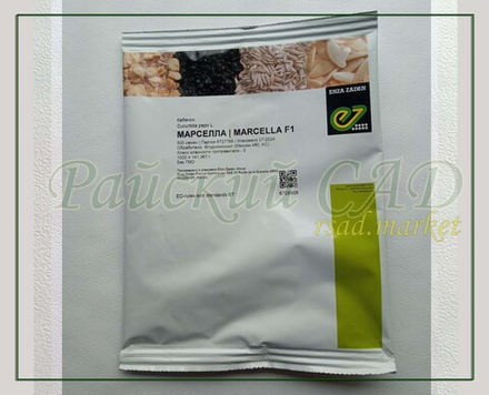 Кабачок Марселла F1 / MARSELLA F1 Enza Zaden 5 шт.
