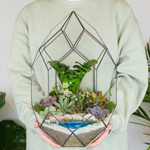 Готовый флорариум с суккулентами Цефей с озером