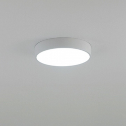 Накладной светильник Citilux CL72424V0