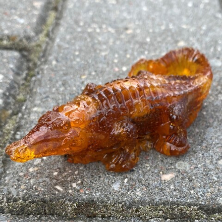 Крокодил малый