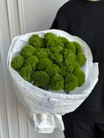 Моно букет из диантусов сорта Грин трик 25 шт