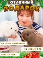 Мягкая игрушка вомбат хомяк кавайный плюшевый 26 см