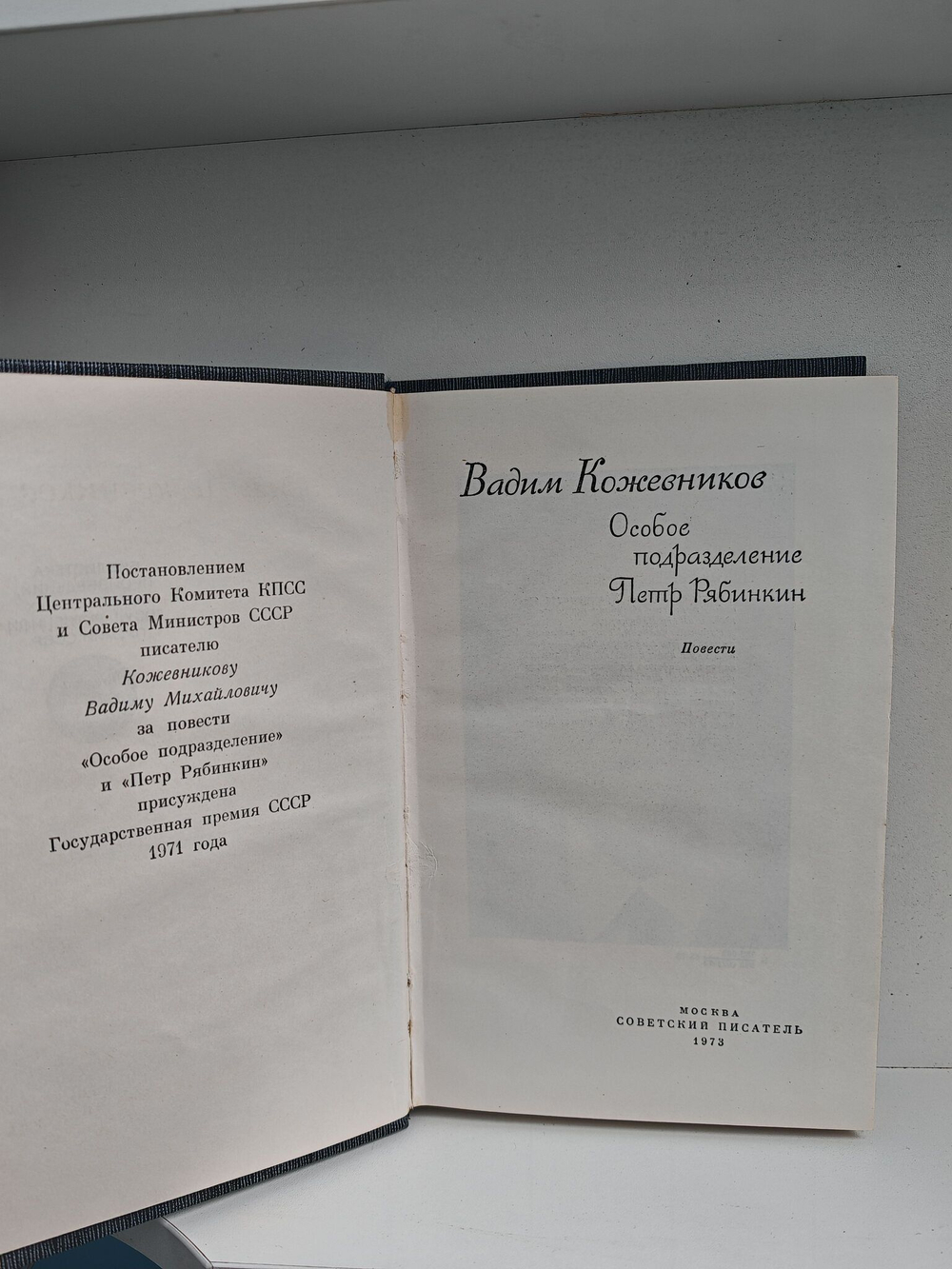 Особое подразделение. Петр Рябинкин