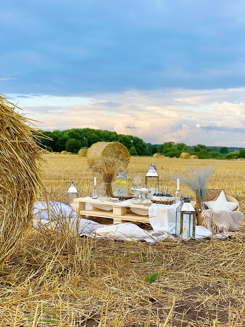 Golden Field