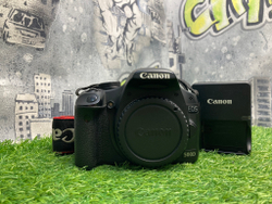 Canon EOS 500D 25.000 кадров