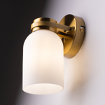 Настенный светильник Freya Kamelia FR5446WL-01BS