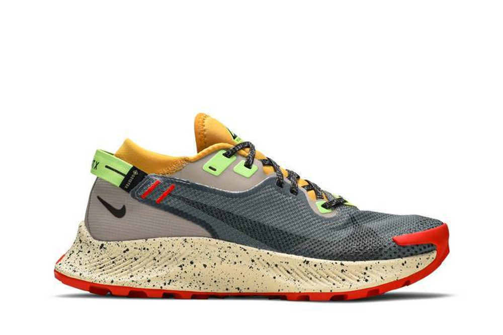 Кроссовки Nike Pegasus Trail 2 Gore-Tex