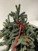 Елка декоративная h-75см