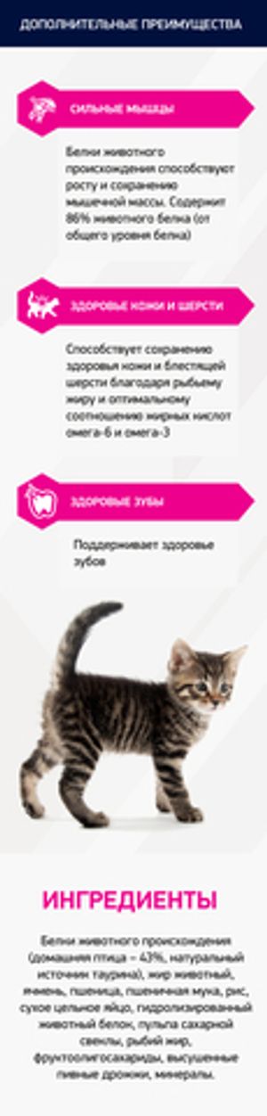 Корм для котят, Eukanuba Cat, с домашней птицей