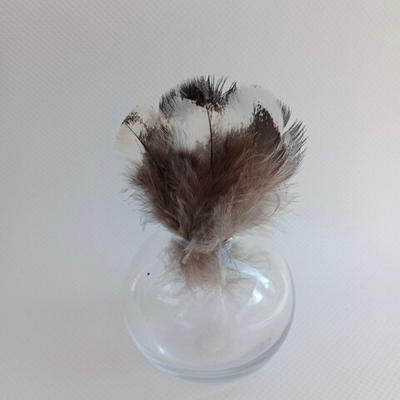 Перья глухаря с белым пятном 7-10 см. 10 шт.