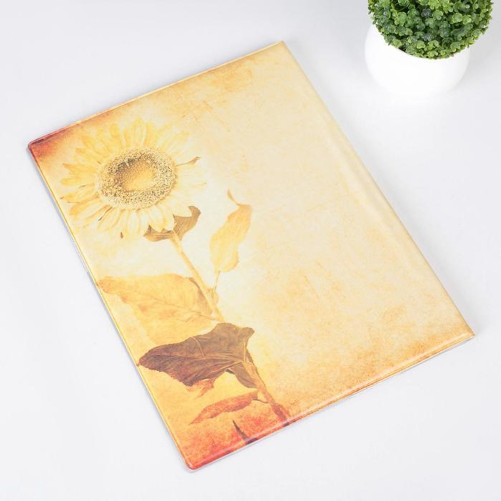 4864874 Папка для семейных документов, 4 комплекта, цвет бежевый