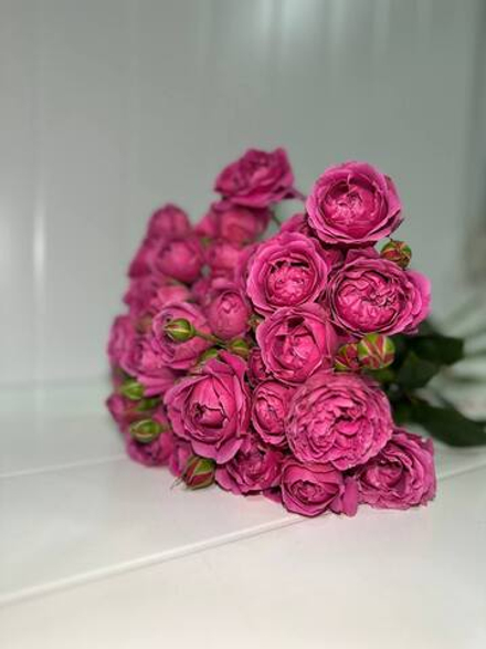 Букет из 11 веточек пионовидной розы