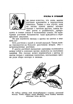 Школьная пасека. Знай и умей | В.А. Губин