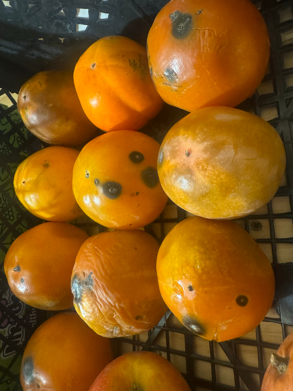 Хурма спелая 2 сорт ( обрезать и вкуснотень либо на переработку )