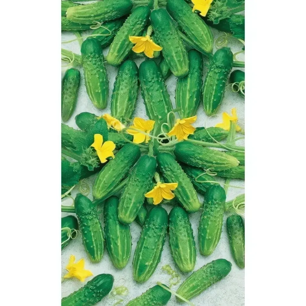 Семена Огурец Надежный (Марс) Б/П