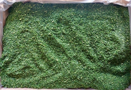 Укроп, цена за 0,5кг, фасовка по 0,5кг