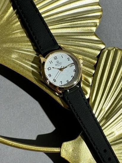 Мужские часы Royal London 41521-04