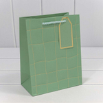 Пакет подарочный 18х23х10см "Волнистый узор" с тиснением (Зеленый)