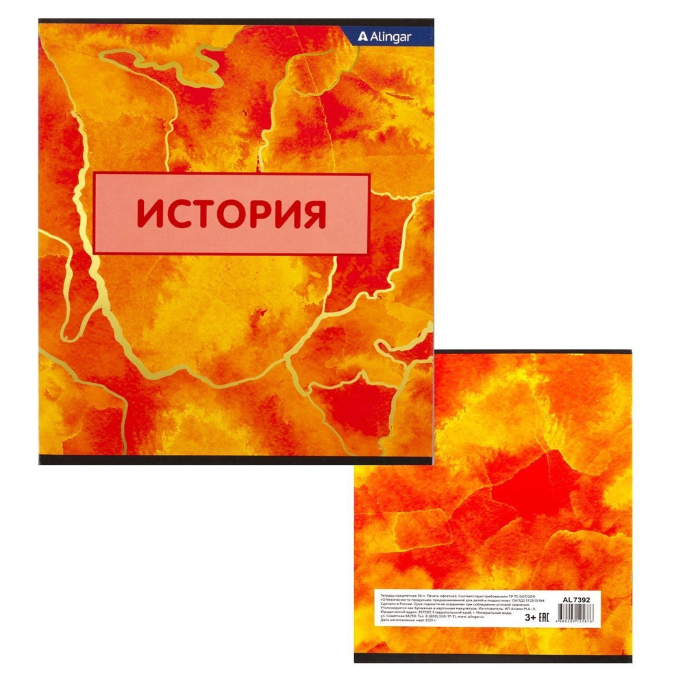 Комплект предметных тетрадей А5 36л., 10 предметов, со справочным материалом, скрепка, мелованный картон (стандарт), блок офсет, Alingar "Мрамор"