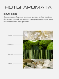 Bamboo M