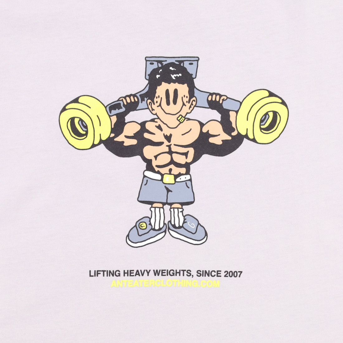 Купить Футболка Anteater Tee 403 Lifting (grey)