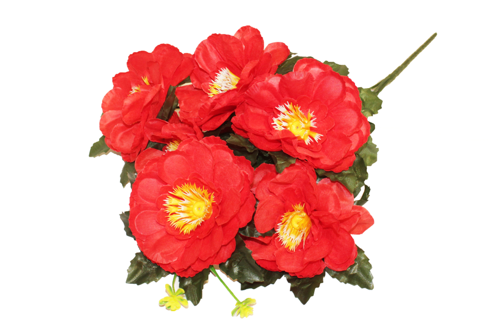 Букет георгинов с круглыми лепестками