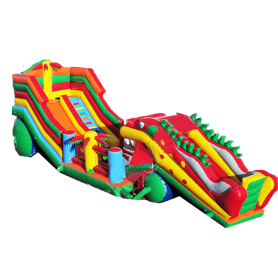 Большая надувная горка "Дракоша"