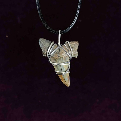 Амулет, зуб ископаемой акулы Меннеротодус