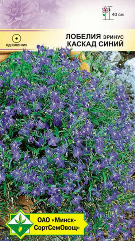 Лобелия эринус "Каскад синий" 0.05г, Германия.