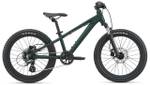 Детский велосипед Giant STP 20 FS (2021)