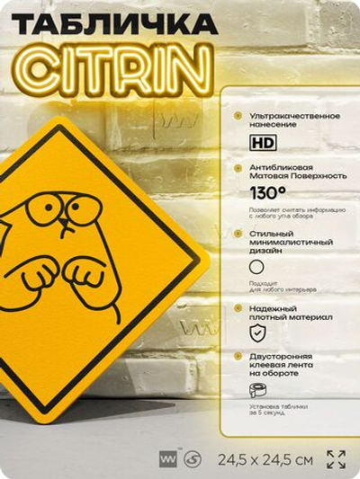 Табличка мем "Кот Саймон" шуточная прикольная табличка на дверь и стену, для офиса и дома, декоративный знак, 24,5х24,5 см, пластиковая, Айдентика Технолоджи