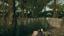 Ultimate Fishing Simulator - Amazon River (для ПК, цифровой код доступа)