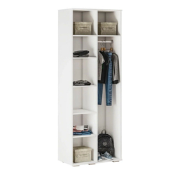 Шкаф для одежды Трио ШК-09 Король спорта