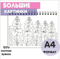 Раскраска "Бабочки" для взрослых и детей от 5+ лет, 40 листов, плотная бумага 120г, спайка 10шт