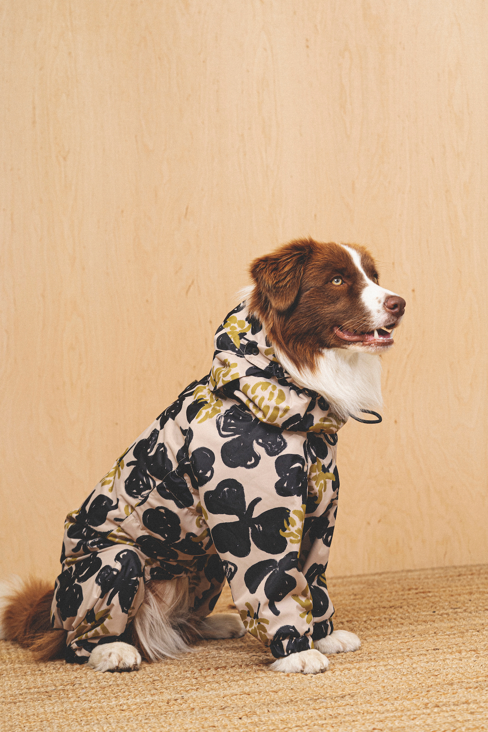 Moschino dog coat discount