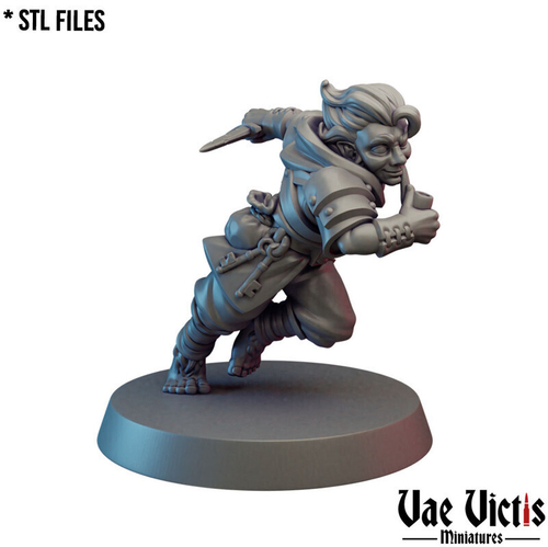 Полурослик Халфлинг Хоббит Гном Вор Ассасин Разбойник Плут Бандит миниатюра для dnd, днд, pathfinder, фентези, Настольная игра, НРИ, Варгейм, РПГ