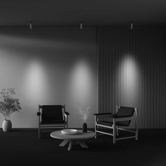 Потолочный светильник Maytoni Technical Ceiling FOCUS LED C055CL-L12W4K-W-PT