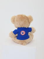 Мишка сувенирный в курточке САМБО синий