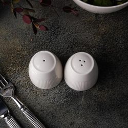 Набор для специй 2 предмета Солонка/Перечница d 5,8 см h5,7 см Neo Silk Noble [1]