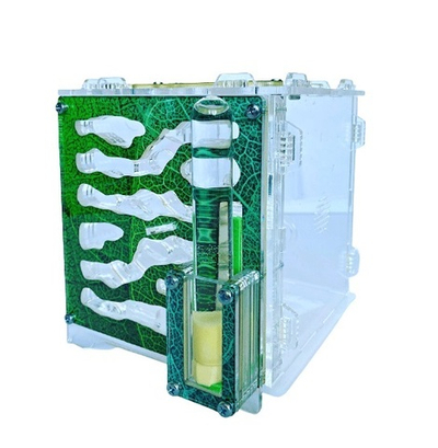 Формикарий для муравьев "Листва" (130*120*120мм)